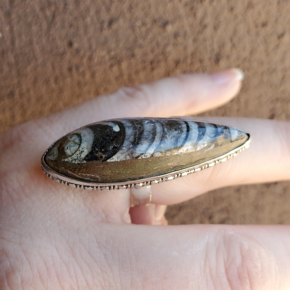 New Unique Orthoceras Fossil 925 Silver Statement Ring. - Picture 7 of 10